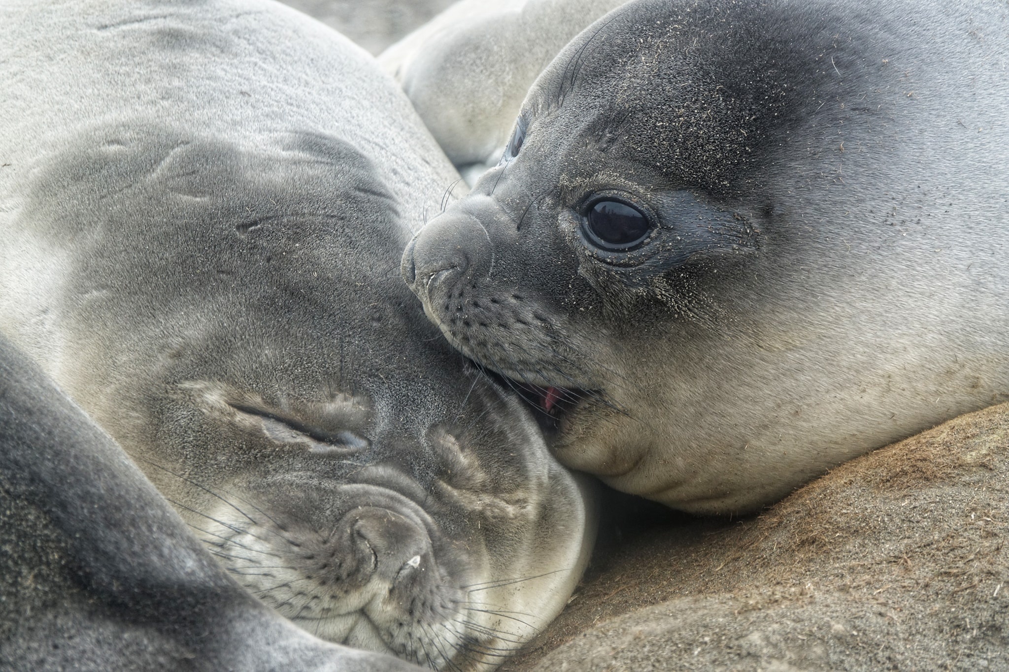 luc dia thu 7 anh 26