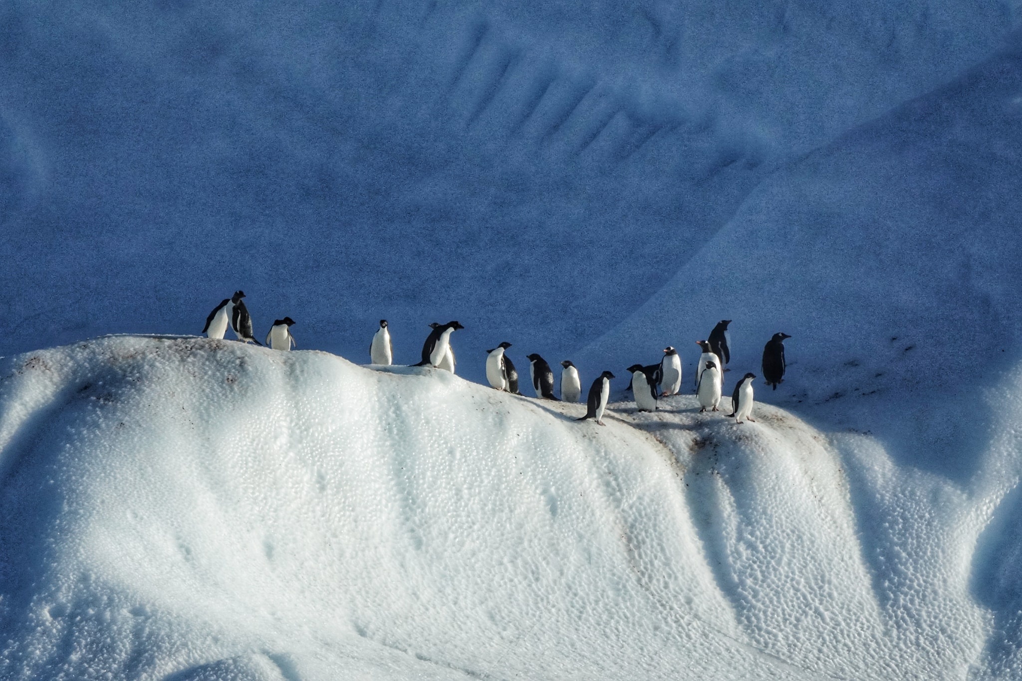 luc dia thu 7 anh 16