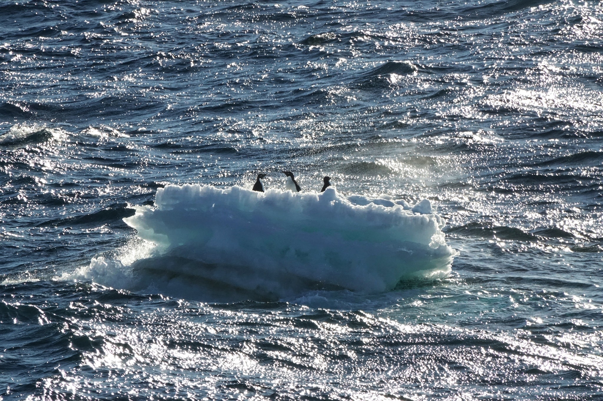 luc dia thu 7 anh 17