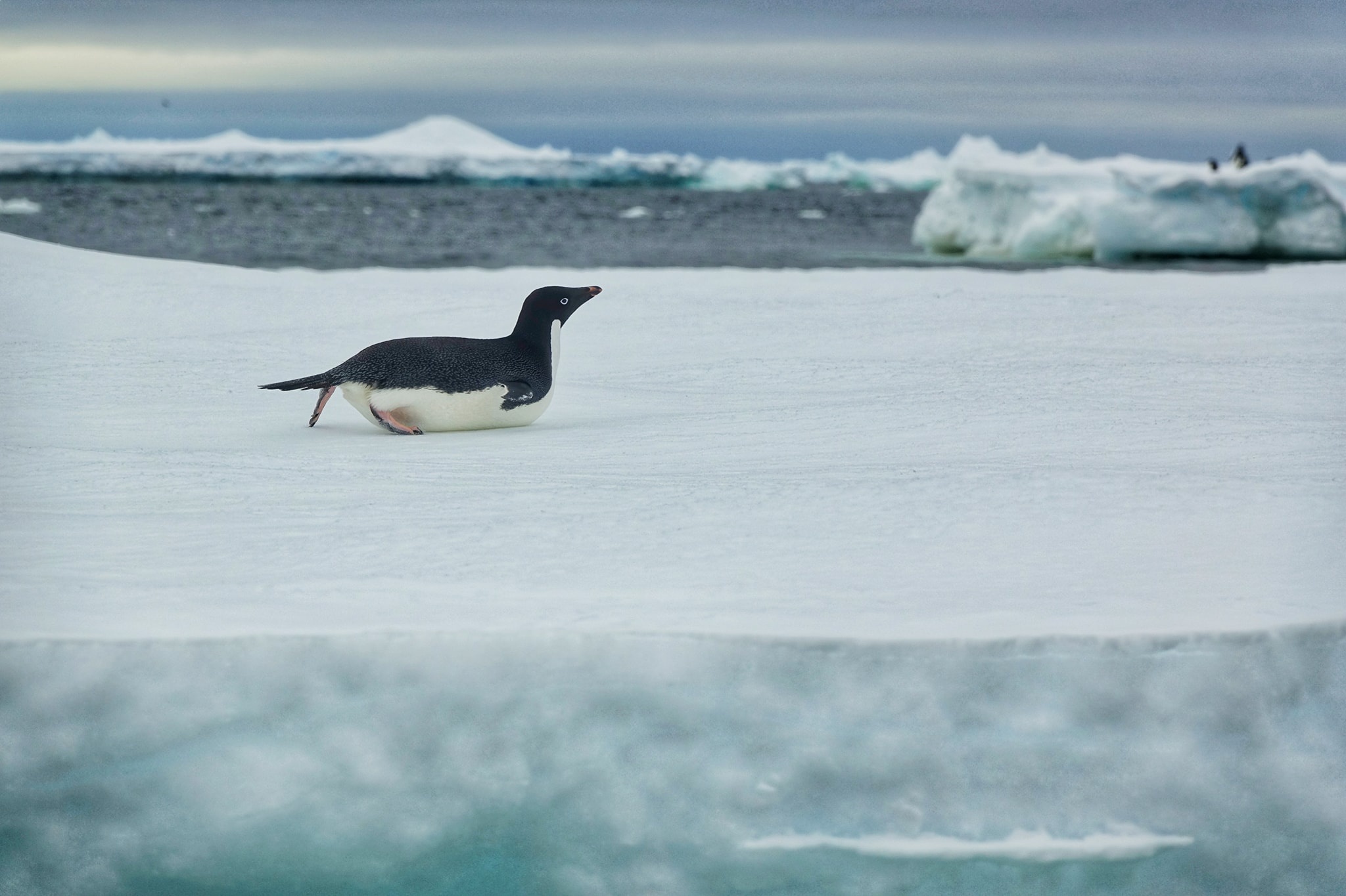 luc dia thu 7 anh 18