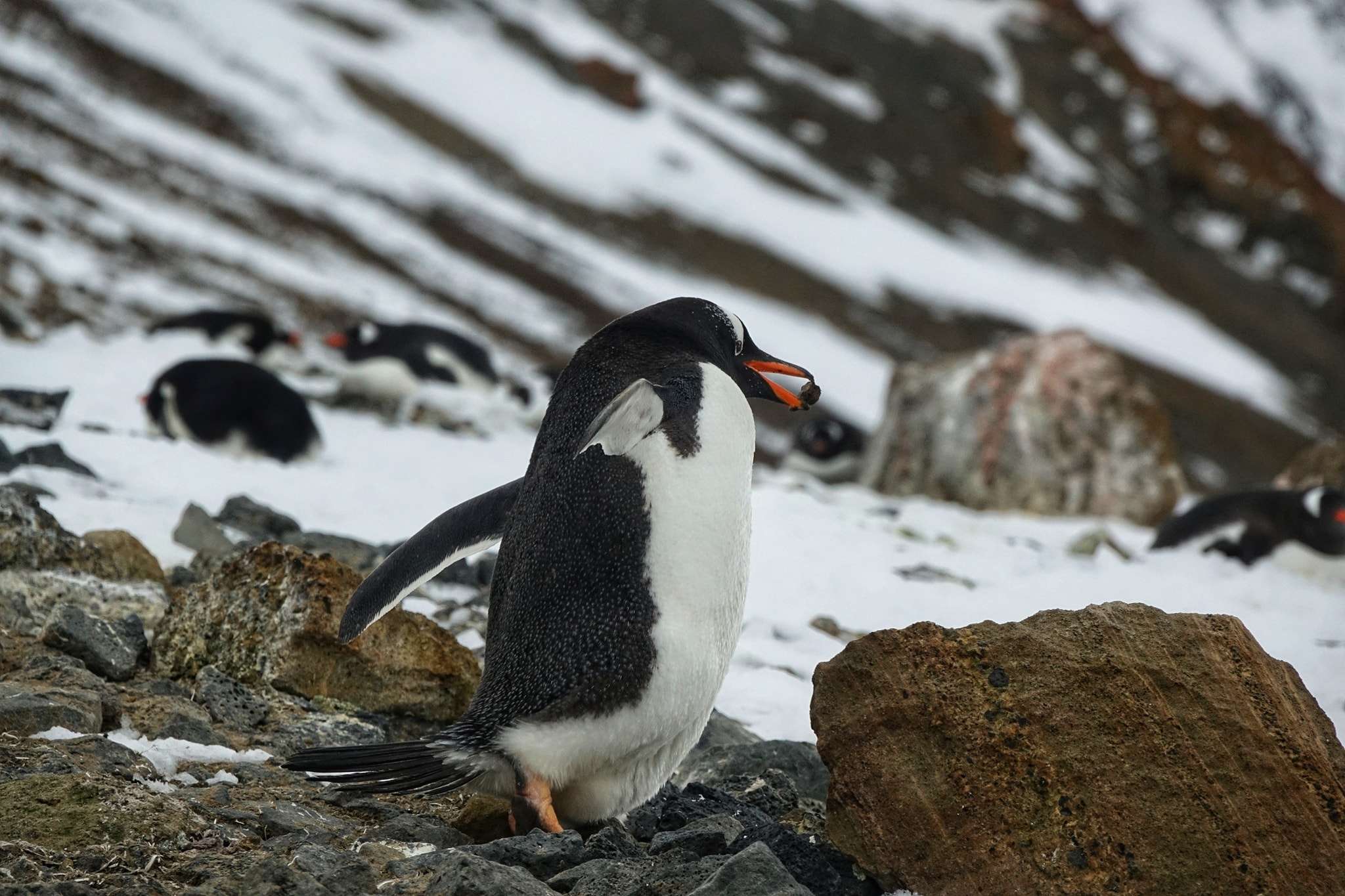 luc dia thu 7 anh 20