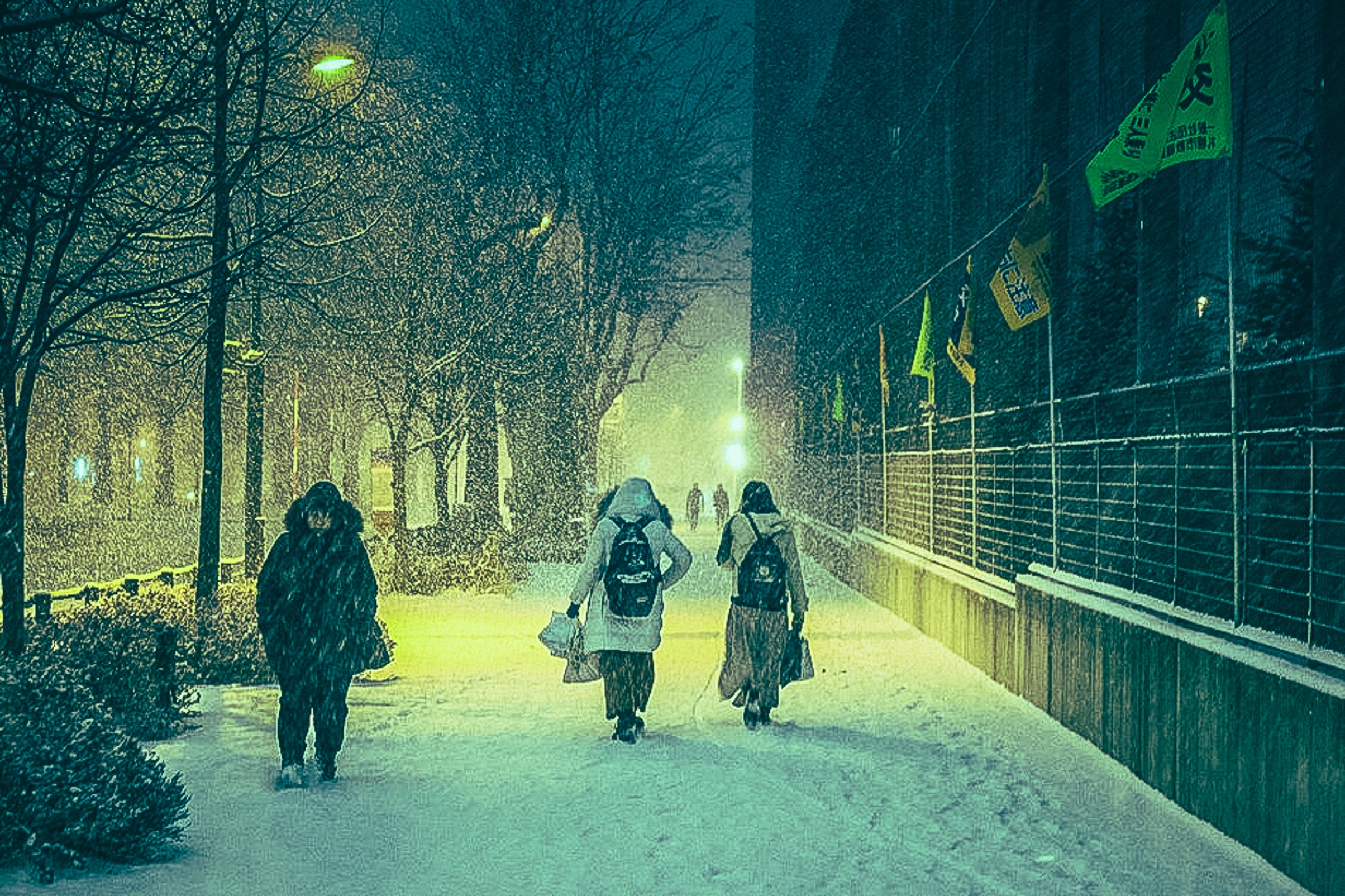 Hokkaido Nhat Ban anh 17