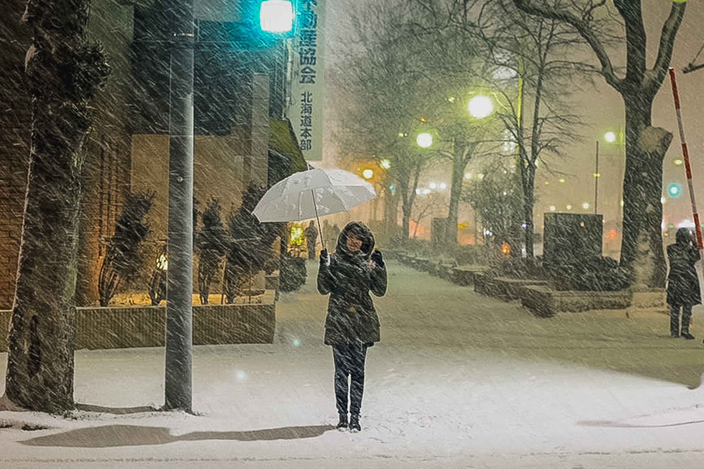 Hokkaido Nhat Ban anh 16