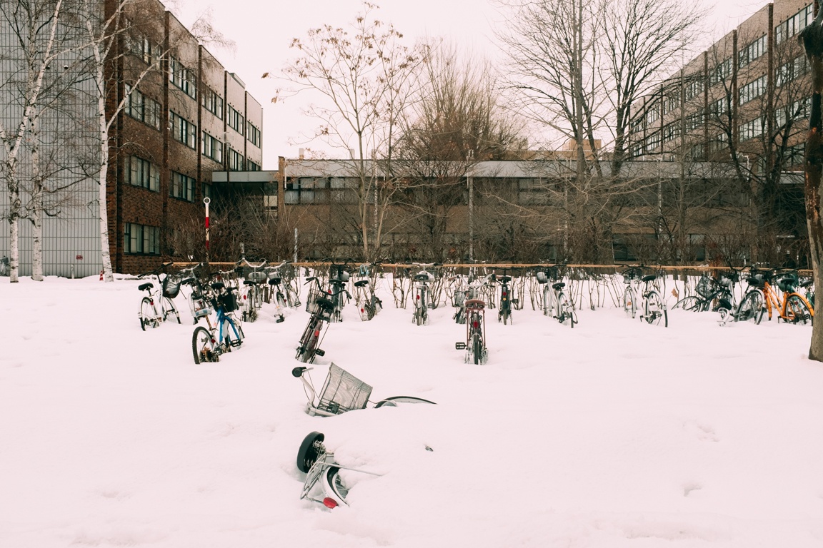 Hokkaido Nhat Ban anh 9