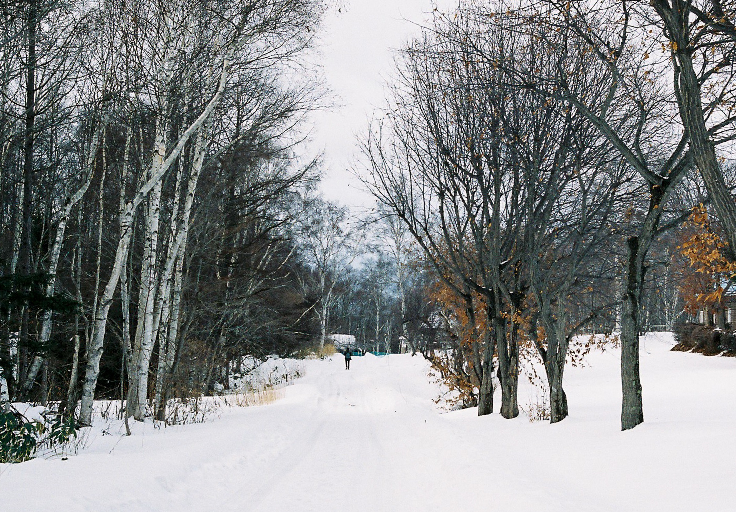 Hokkaido Nhat Ban anh 21