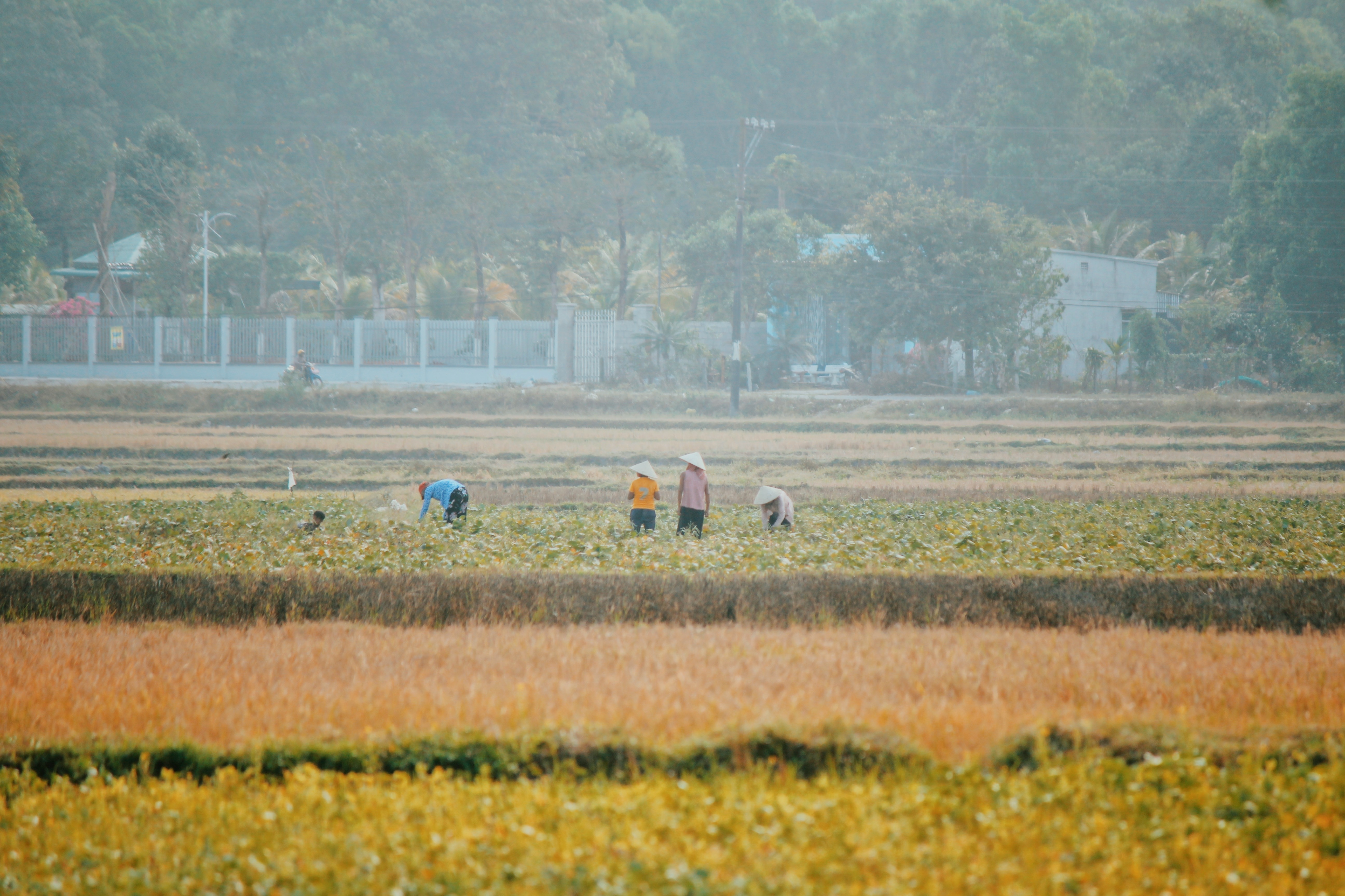 Du lich An Giang anh 8