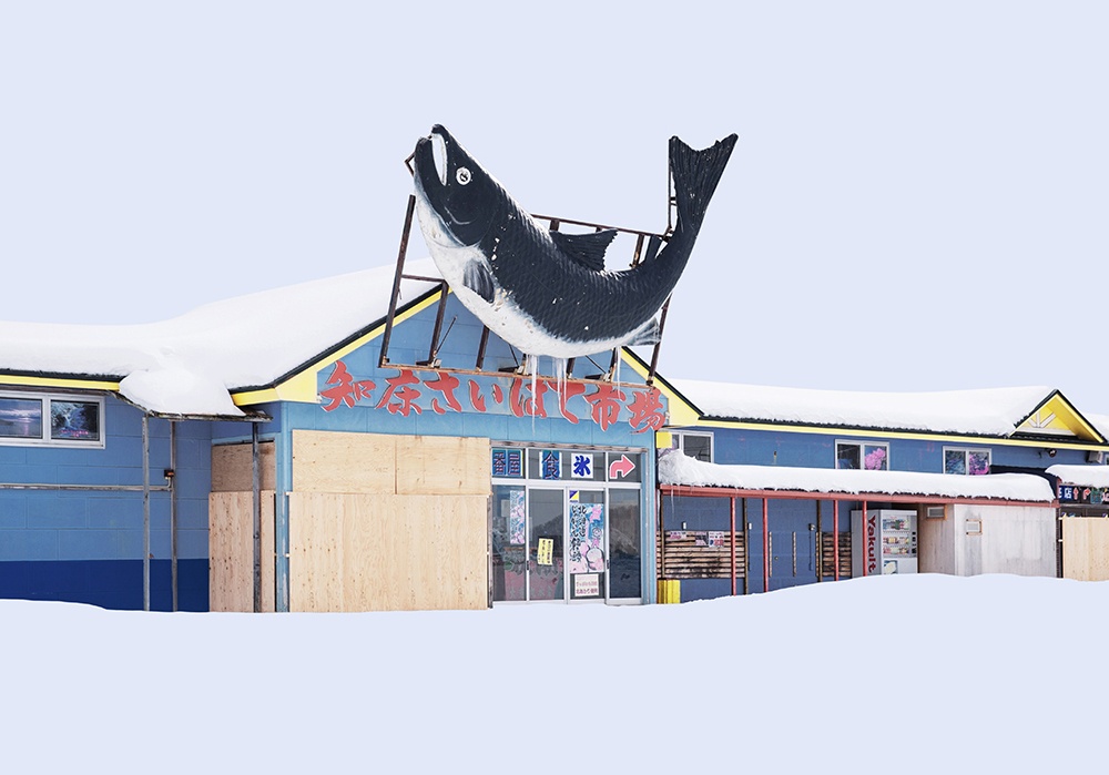 Hokkaido tuyet trang anh 1