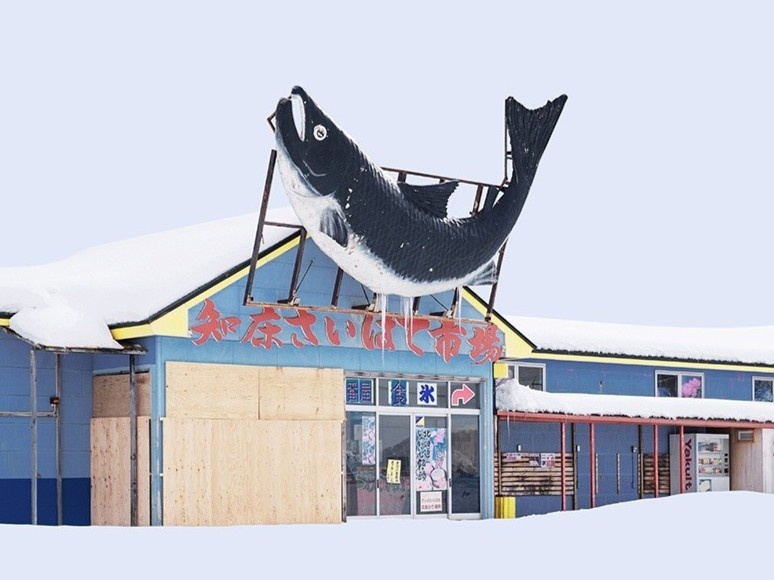 Hokkaido bon be tuyet phu, canh dep tua tranh mau nuoc hinh anh