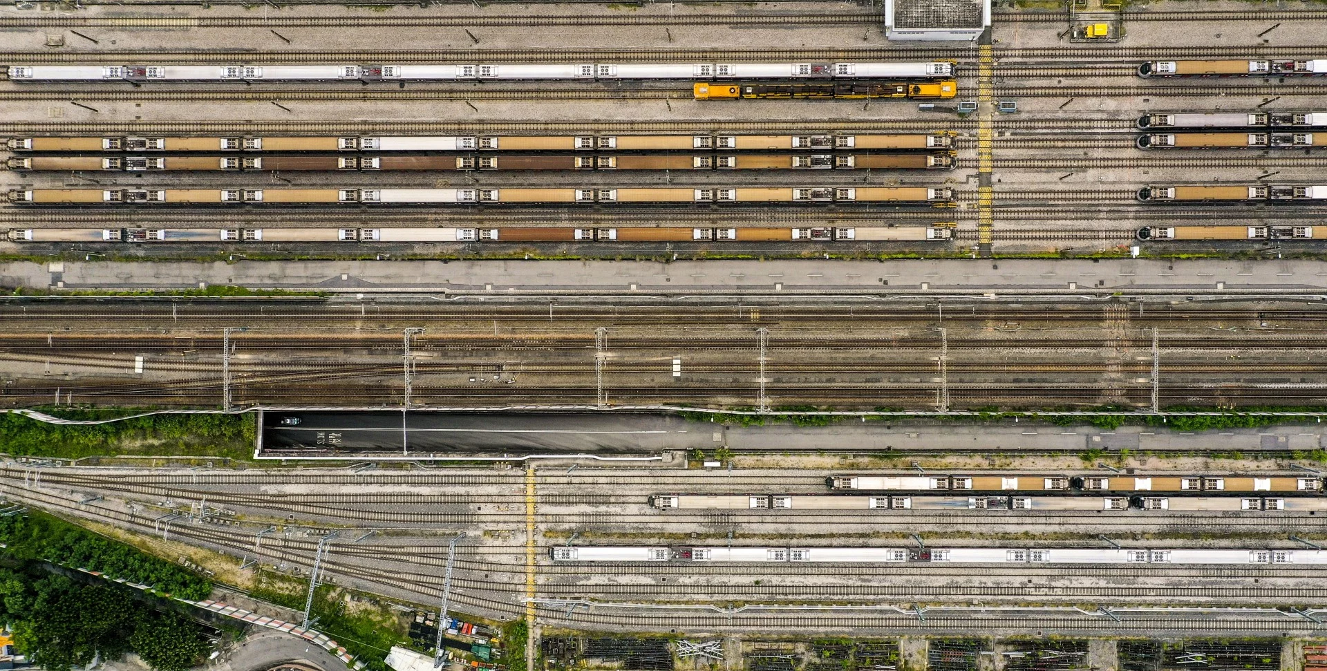 Corona,  covid-19,  Hong Kong,  dich virus corona anh 2