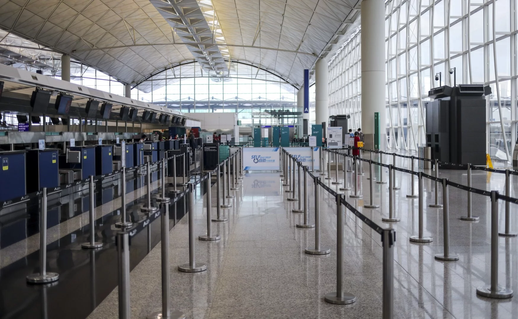 Corona,  covid-19,  Hong Kong,  dich virus corona anh 10