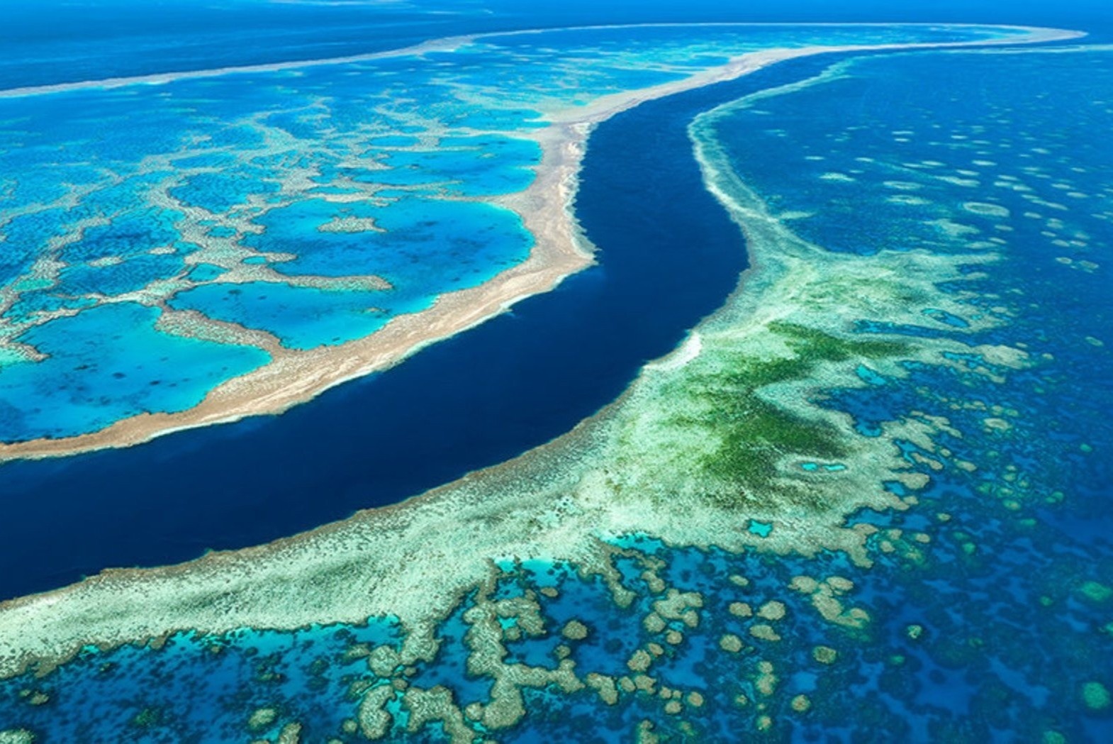 Ran san ho lon nhat Trai Dat, quan sat duoc tu ben ngoai khong gian hinh anh