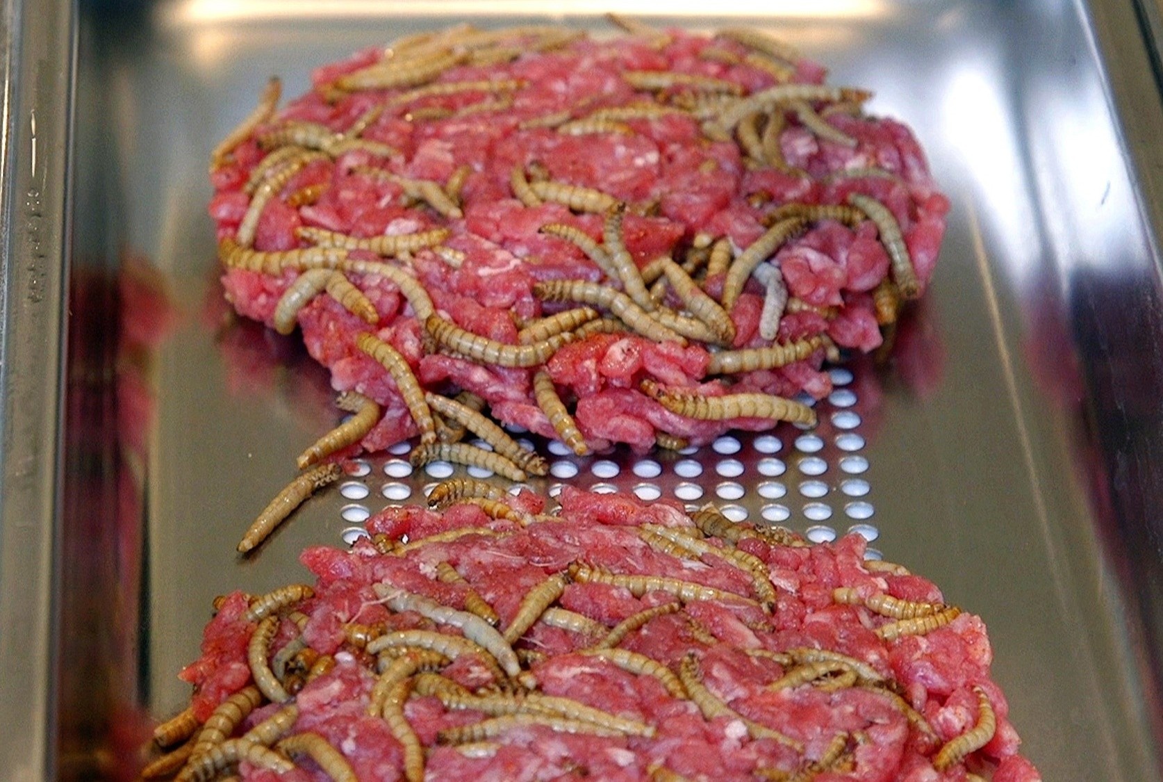 Che bien sau bo, de thanh nguon thuc pham cho tuong lai hinh anh