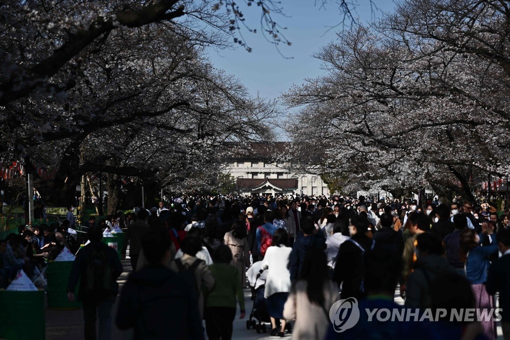 nguoi Nhat ngam hoa anh dao anh 2