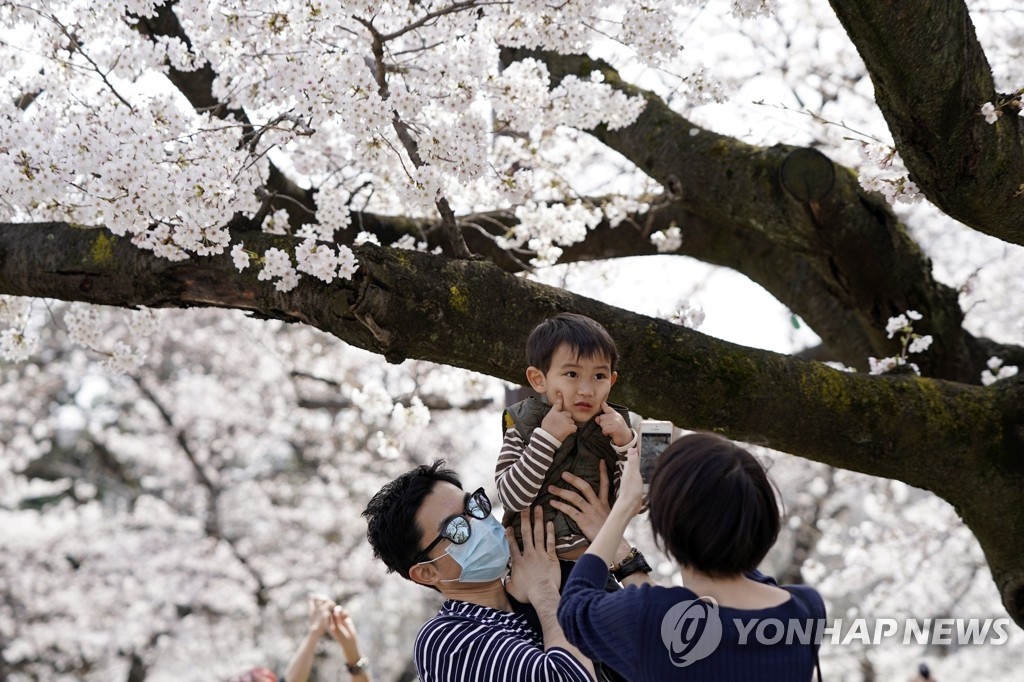nguoi Nhat ngam hoa anh dao anh 5