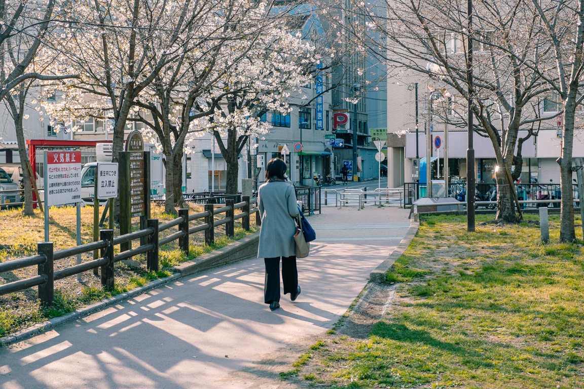 mua hoa anh dao Nhat Ban anh 24
