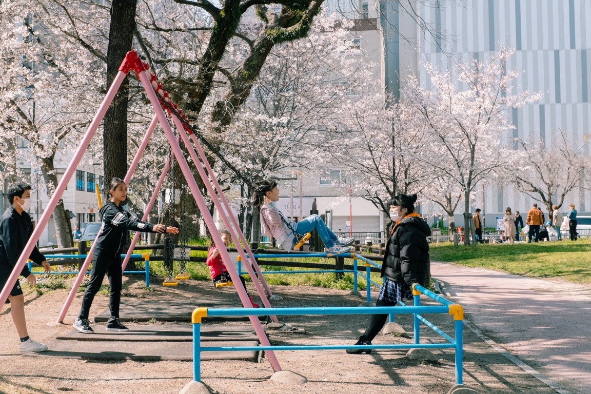 mua hoa anh dao Nhat Ban anh 26