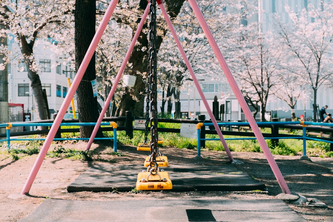 mua hoa anh dao Nhat Ban anh 27