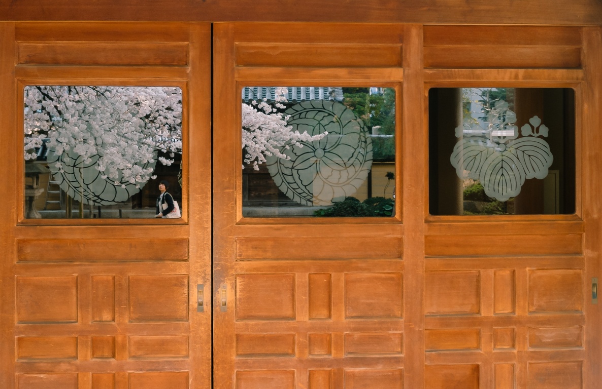 mua hoa anh dao Nhat Ban anh 11