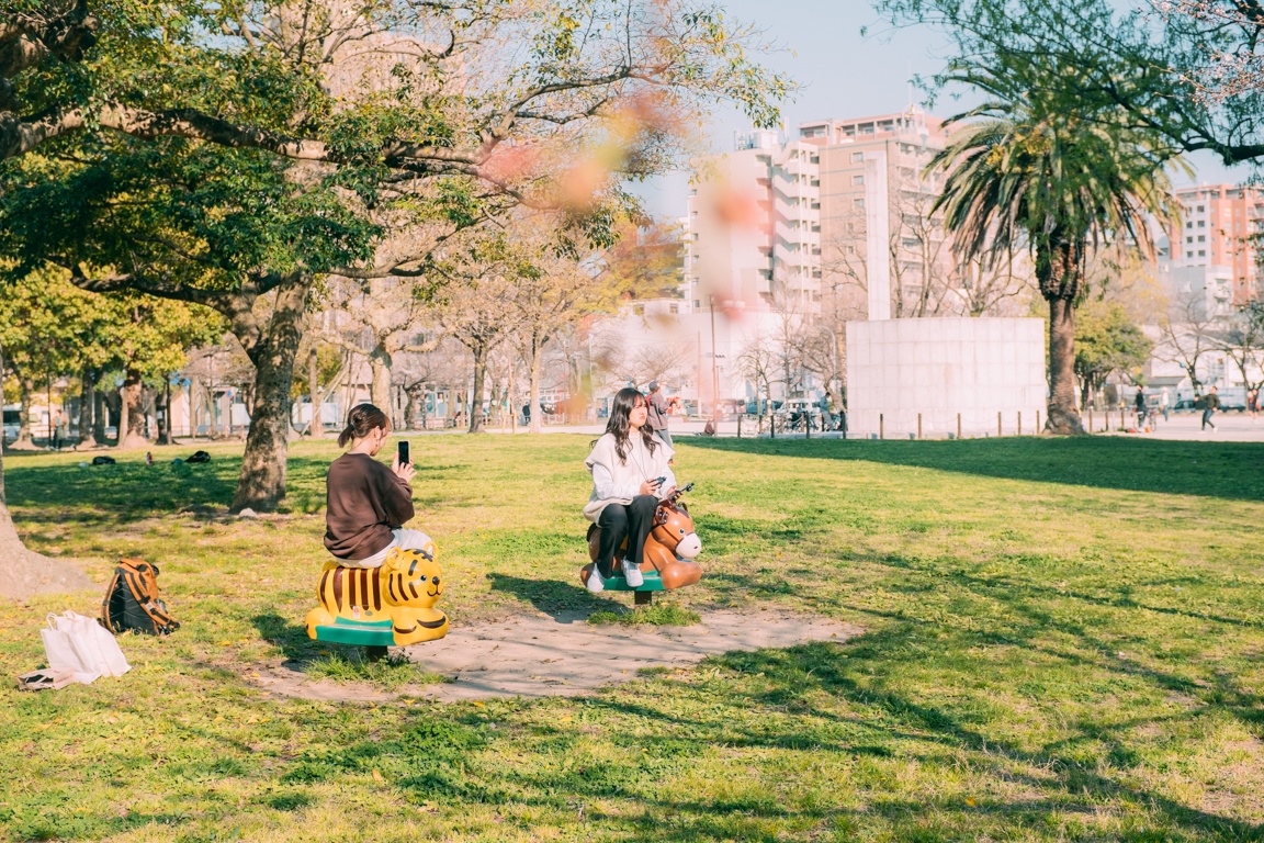 mua hoa anh dao Nhat Ban anh 23