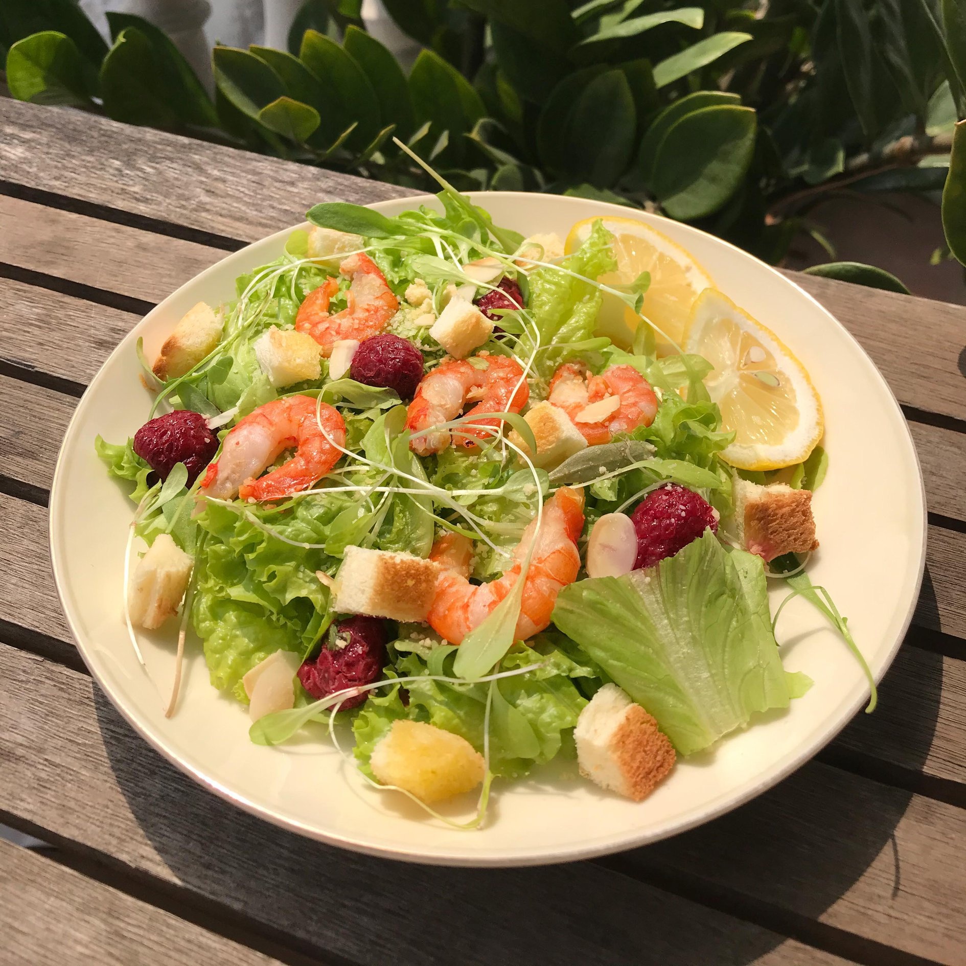 bua com cho nguoi o mot minh anh 7