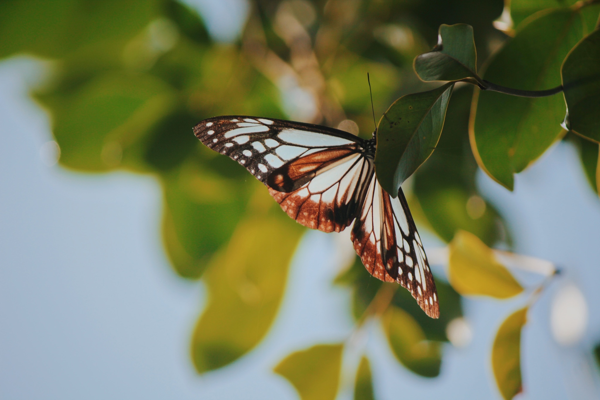 du lich Da Nang anh 21