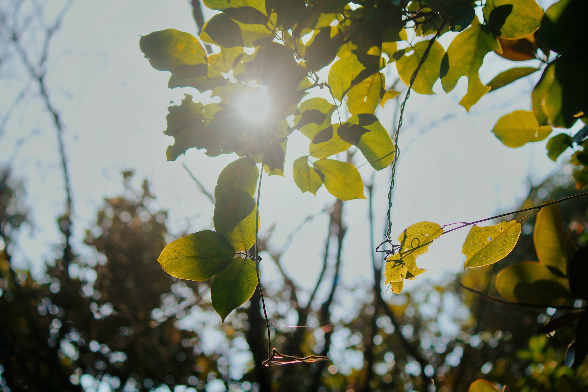 du lich Da Nang anh 22