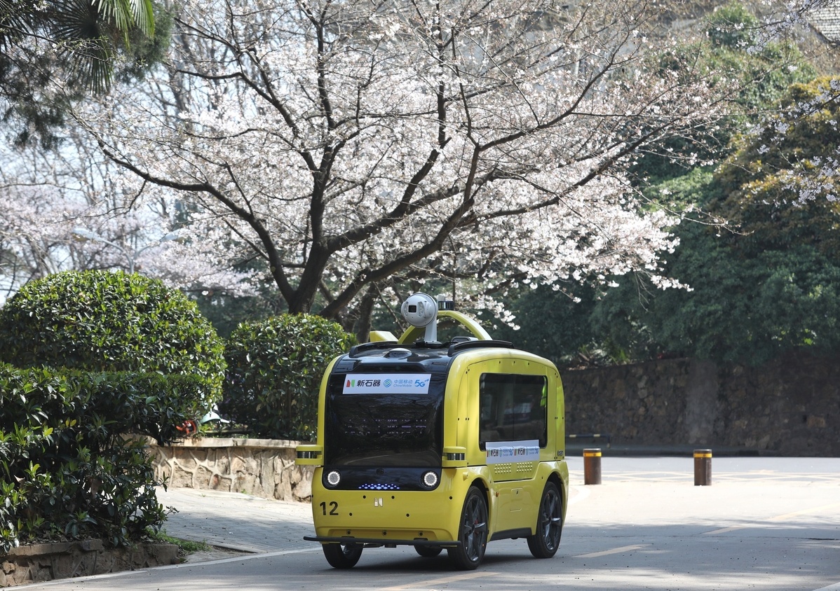 hoa anh dao khong nguoi ngam anh 1