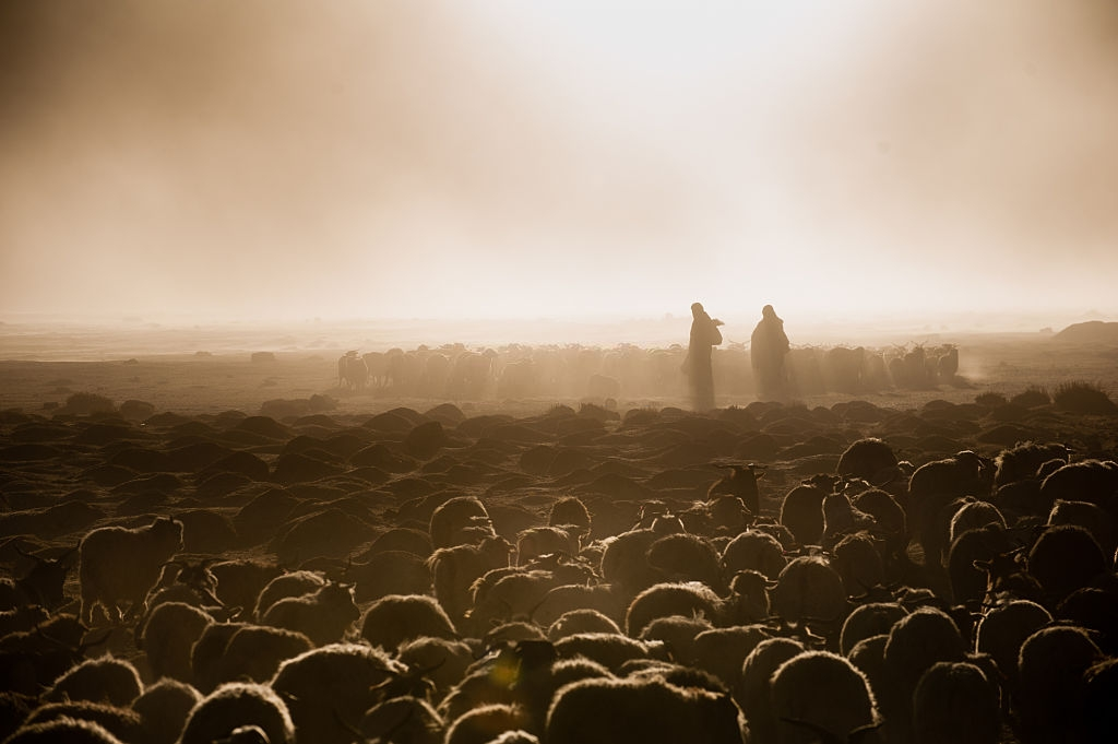 cuoc song o noc nha the gioi anh 2