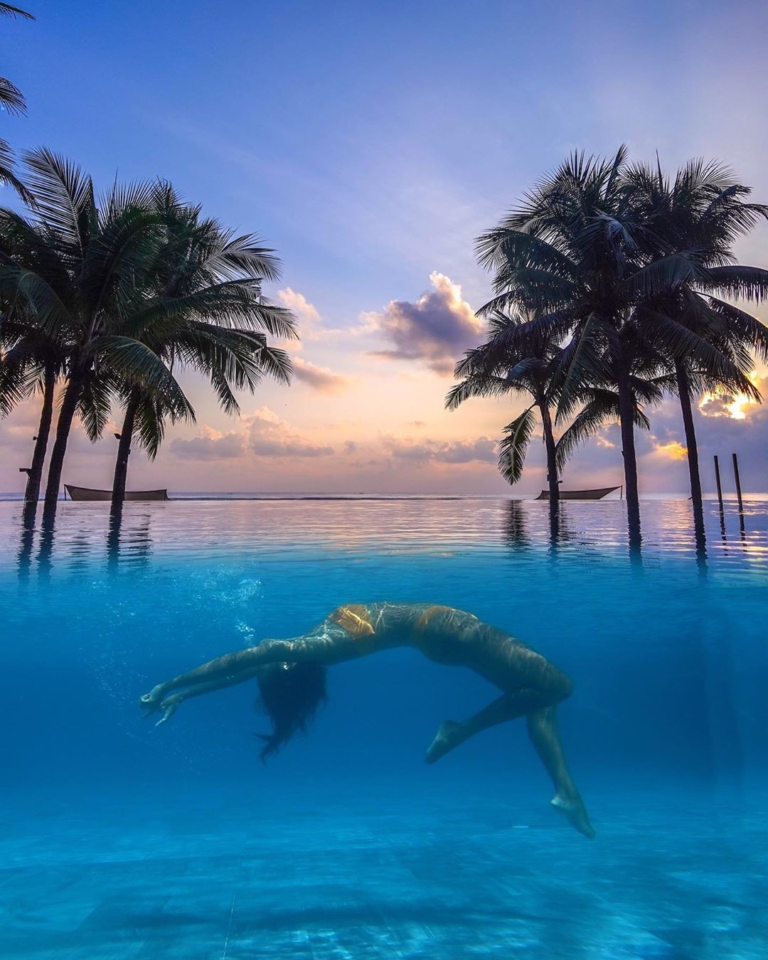 ho boi vo cuc o Viet Nam anh 4