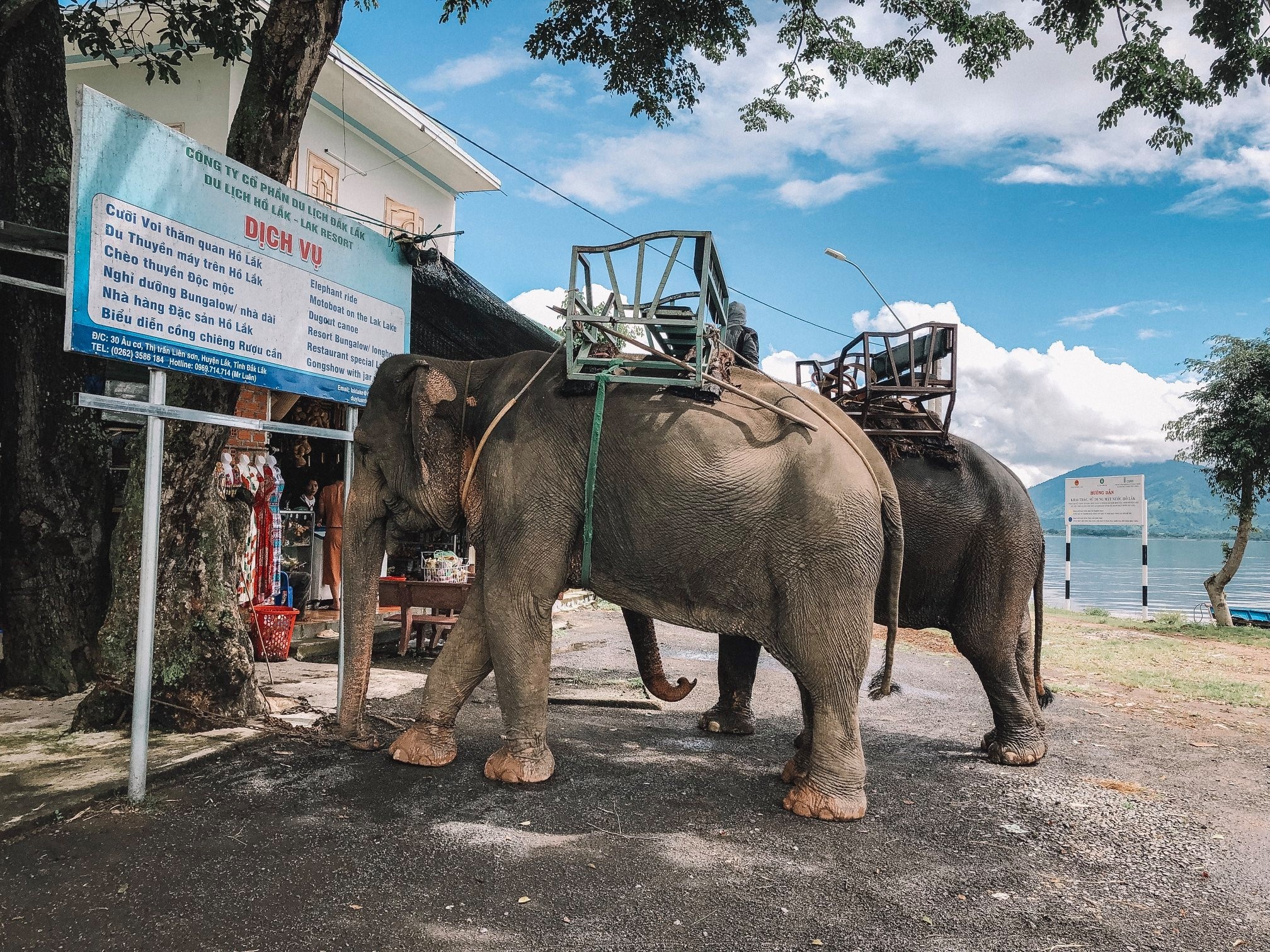 Buon Ma Thuot anh 18