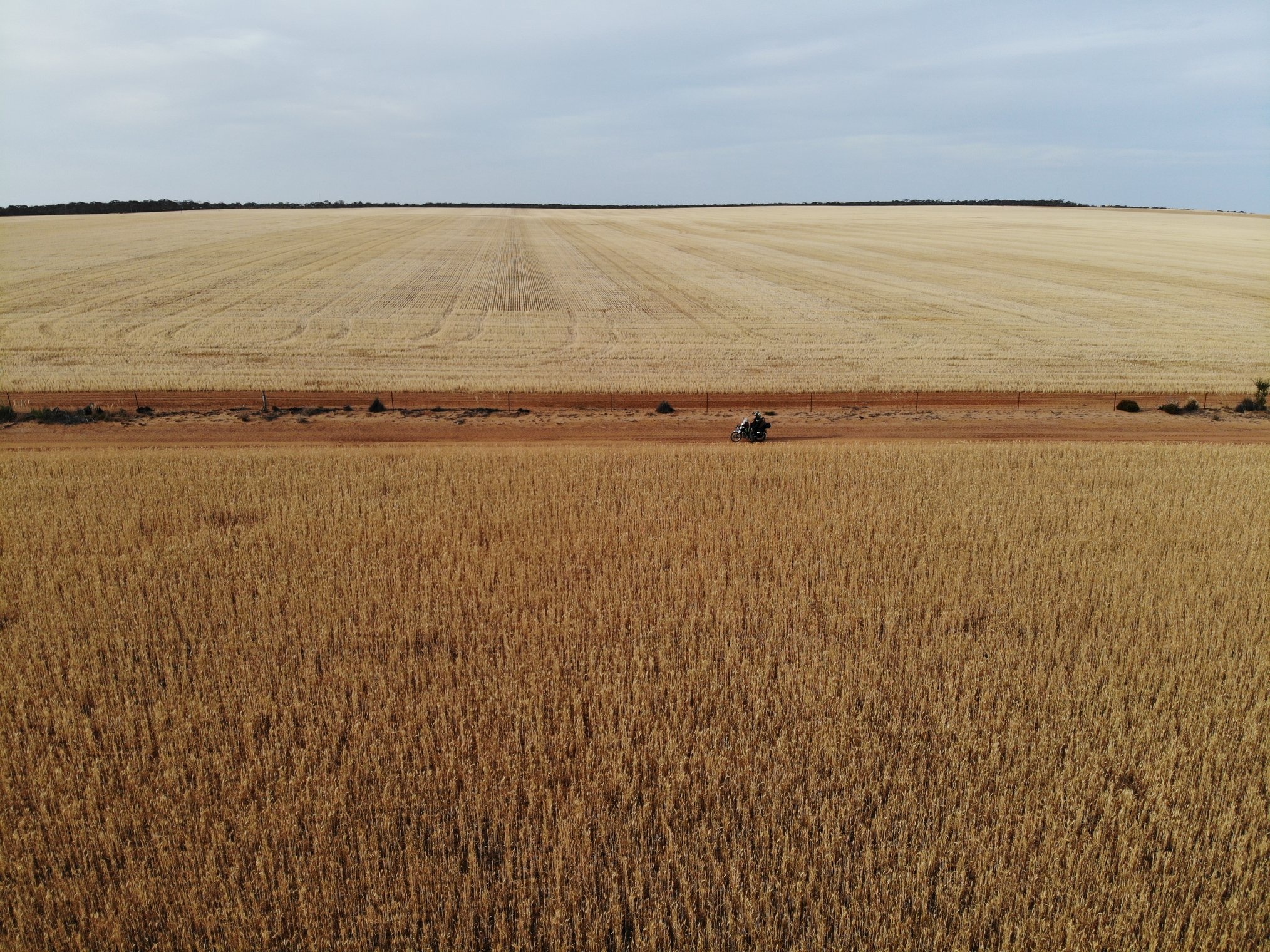 Tran Dang Dang Khoa anh 60