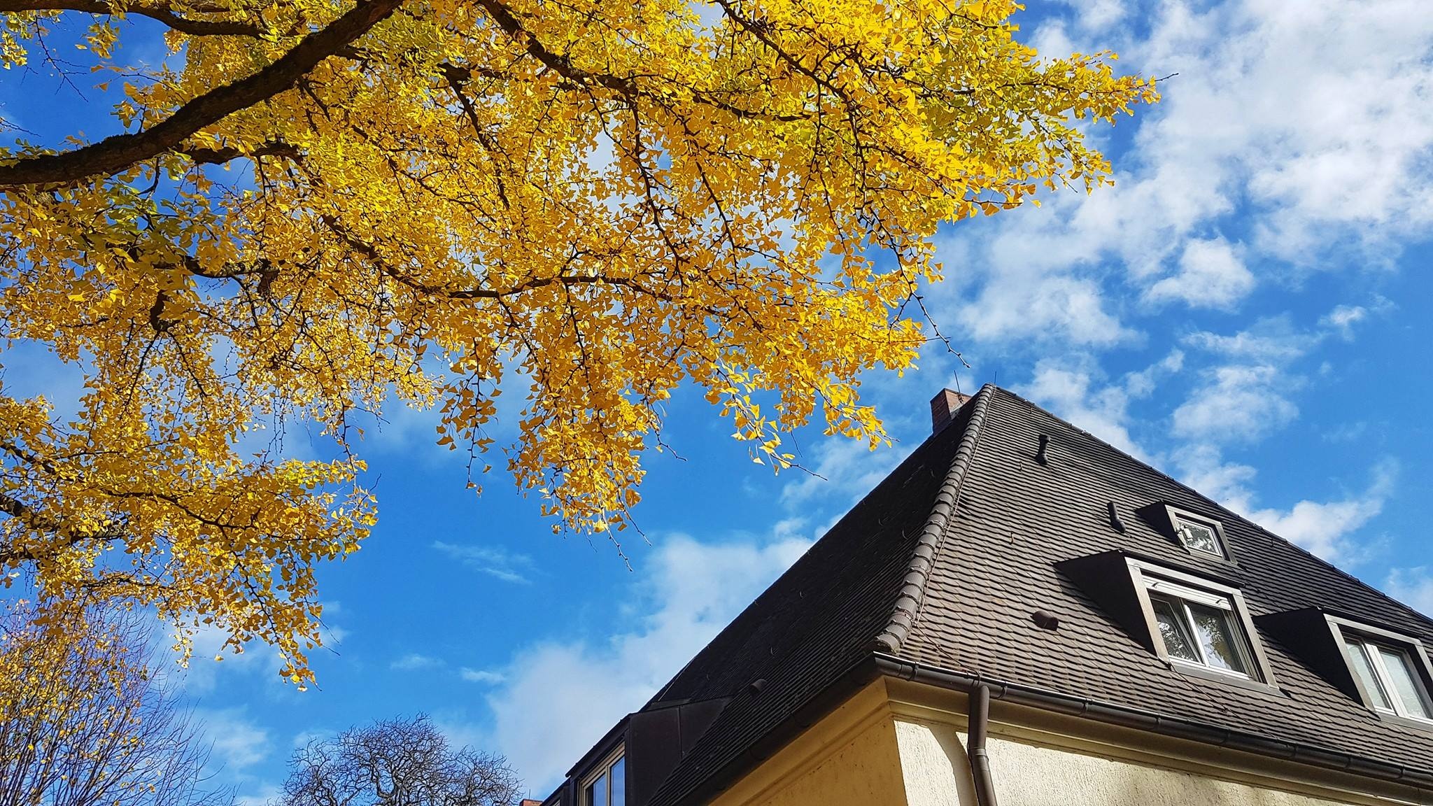 Tran Dang Dang Khoa anh 15