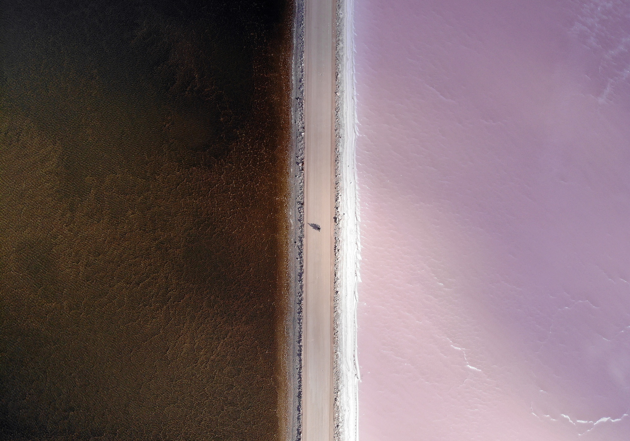 Tran Dang Dang Khoa anh 62