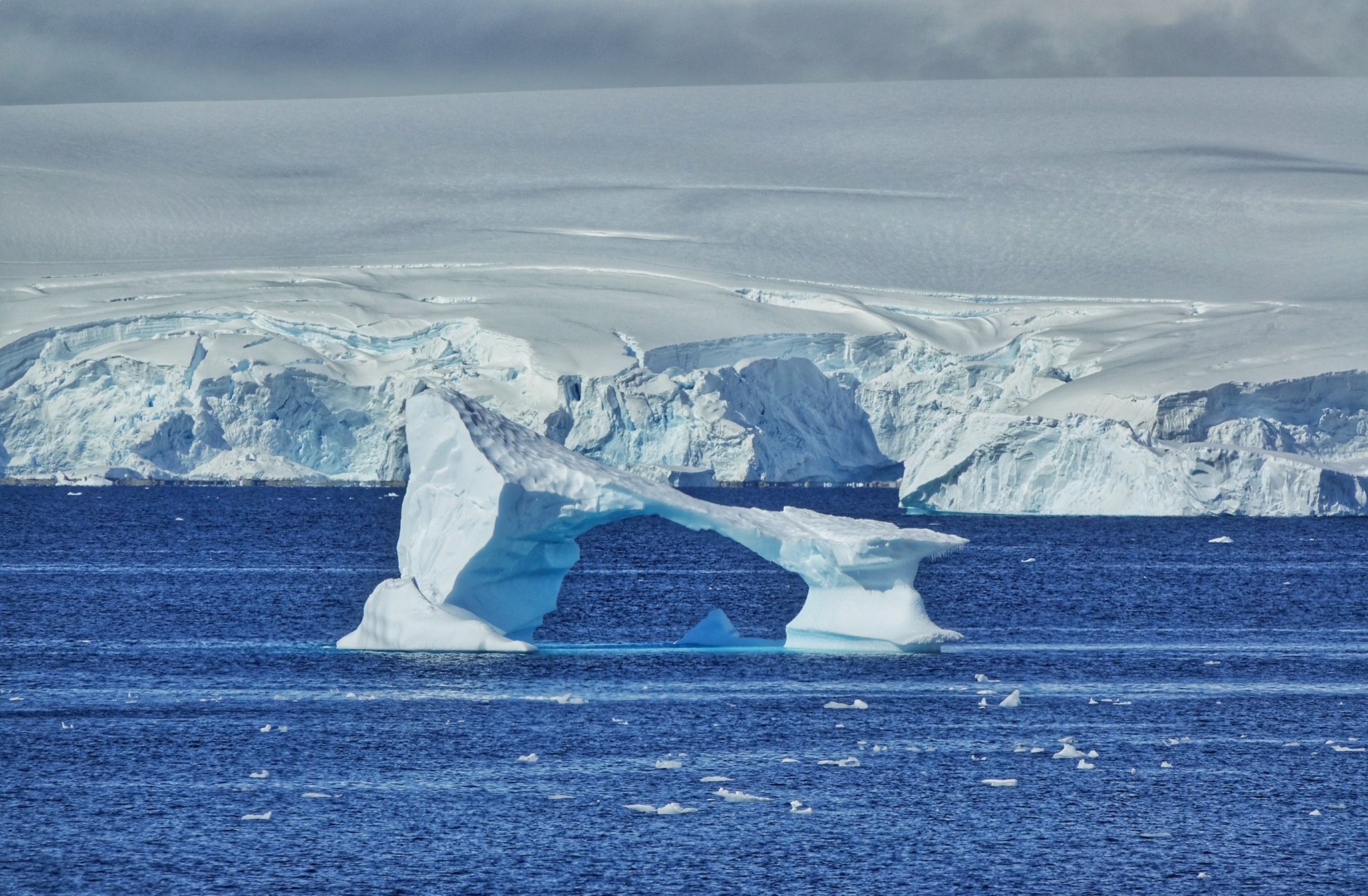 Tran Dang Dang Khoa anh 67