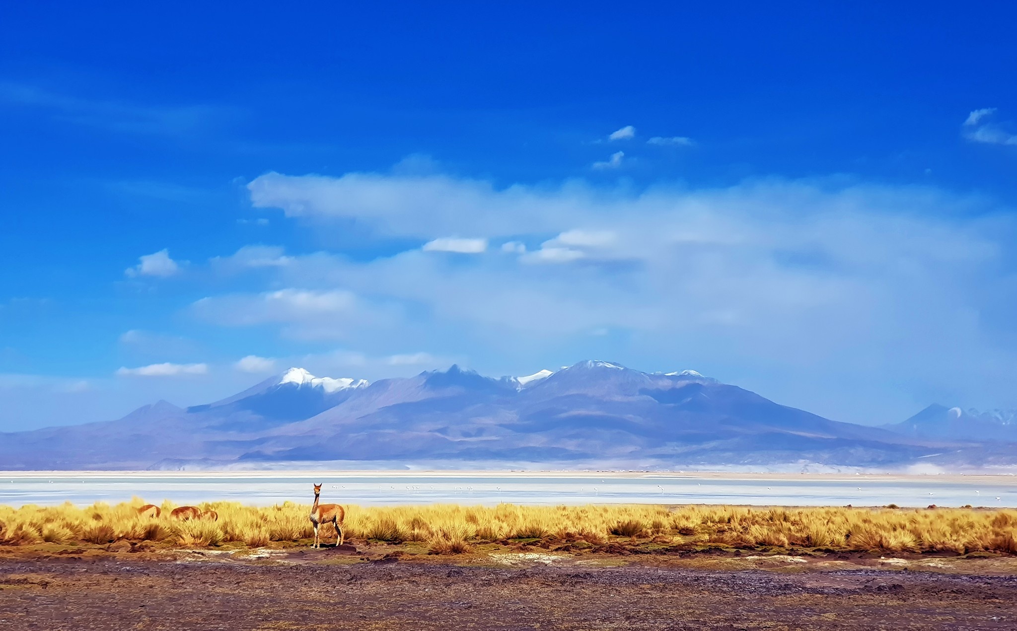 Tran Dang Dang Khoa anh 24