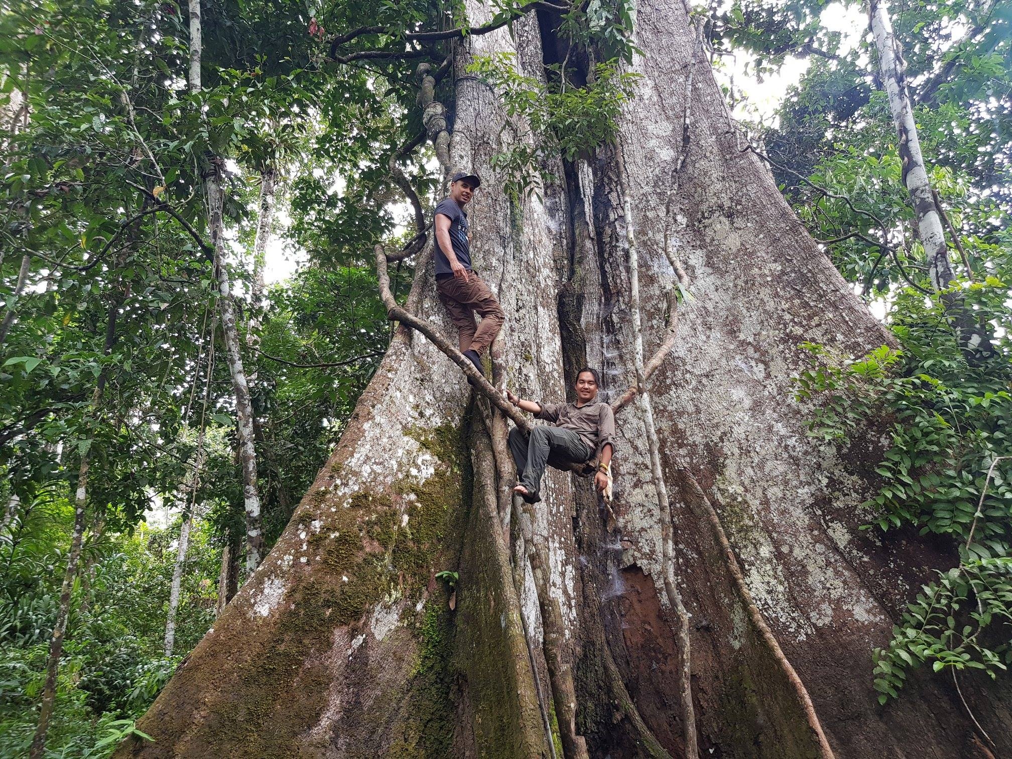 Tran Dang Dang Khoa anh 17