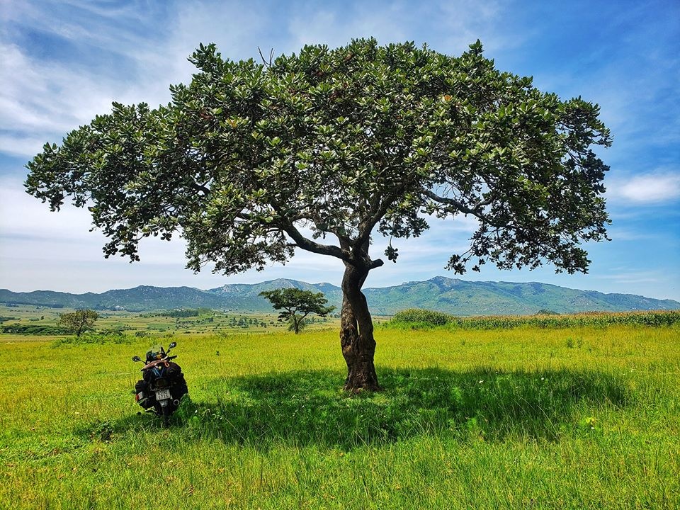 Tran Dang Dang Khoa anh 71