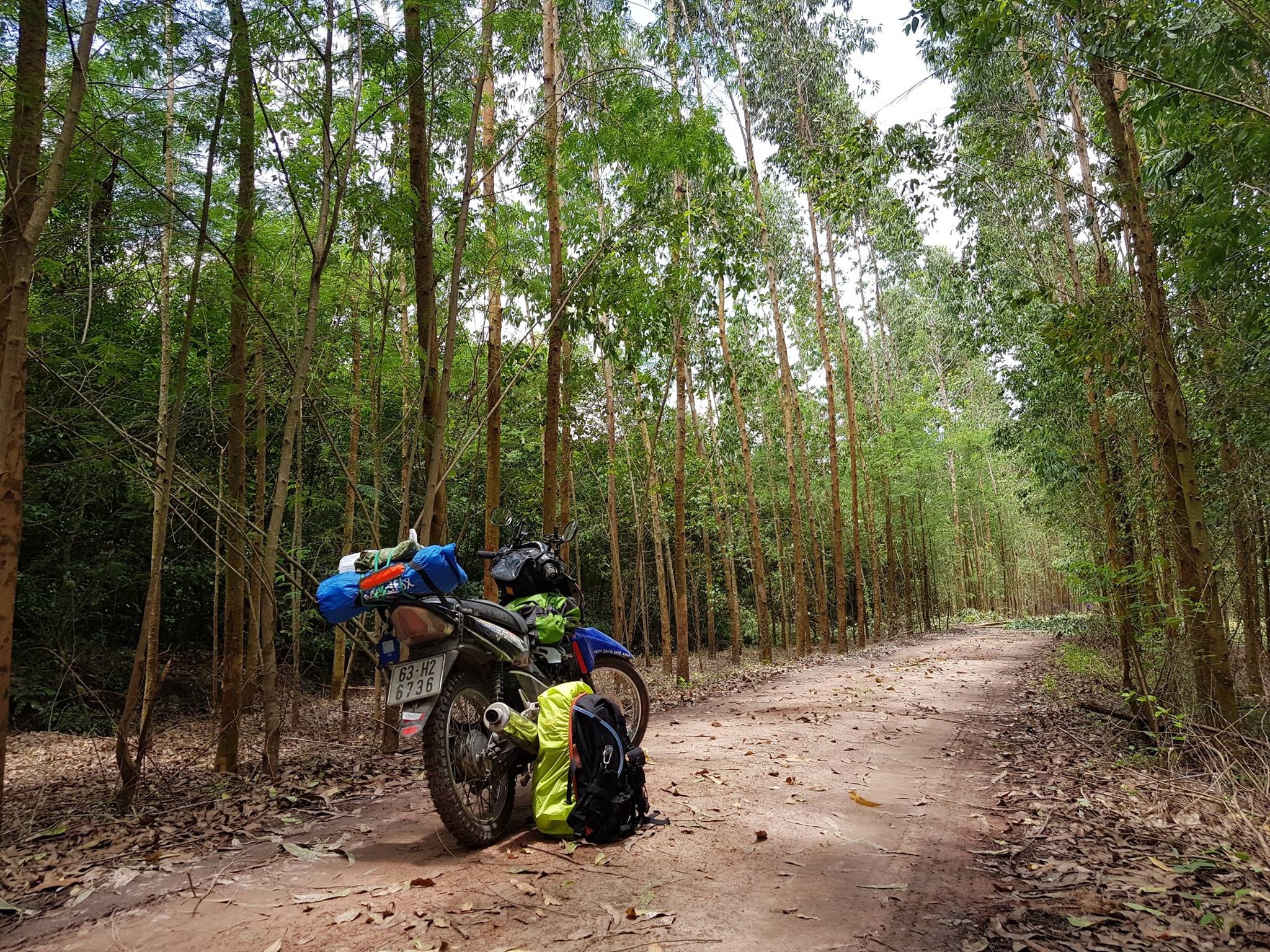 Tran Dang Dang Khoa anh 2