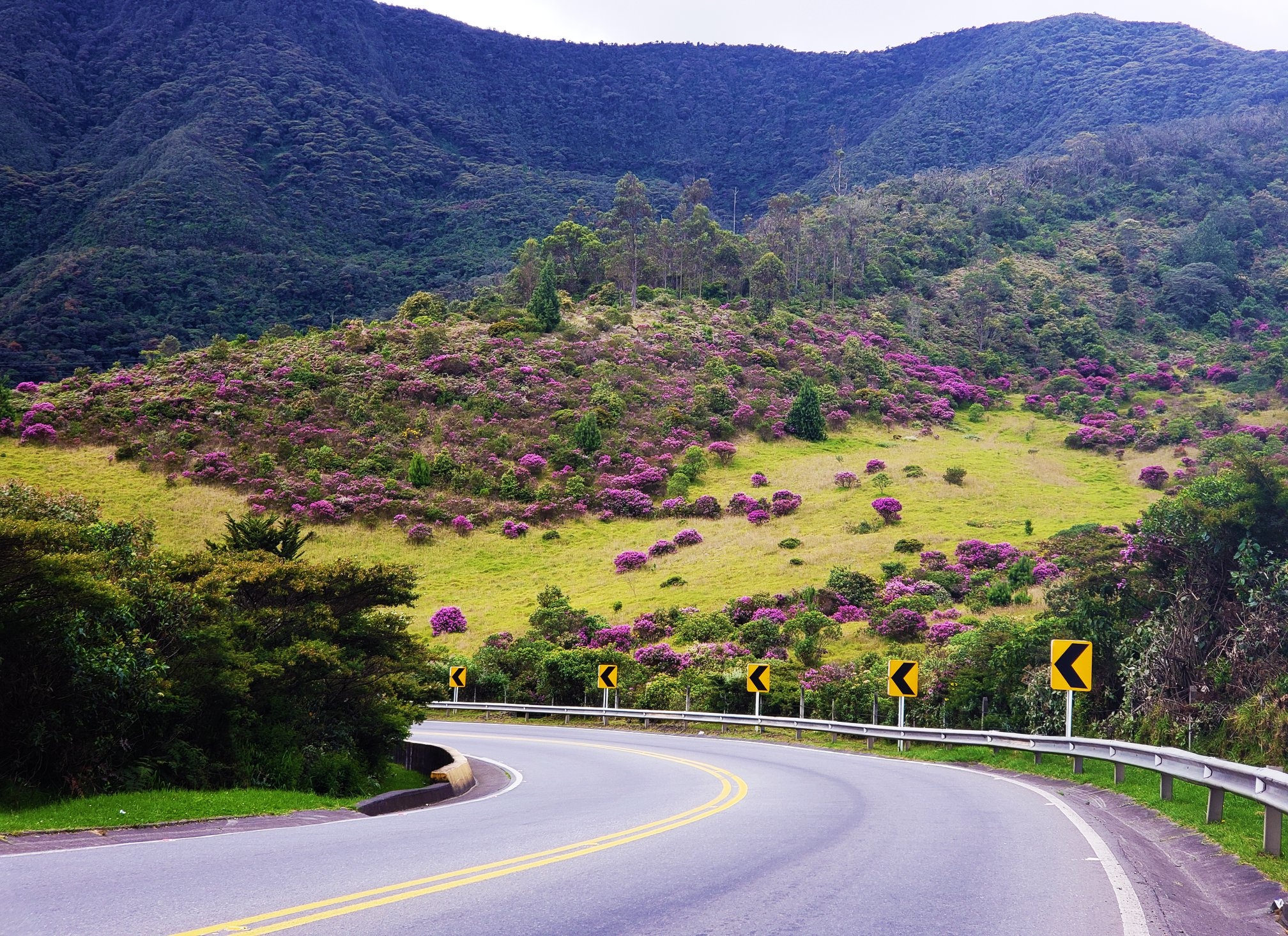 Tran Dang Dang Khoa anh 25