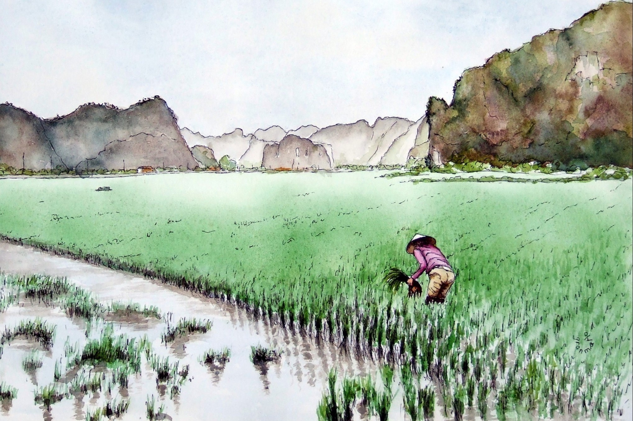 Canh dep Viet Nam tai hien qua tranh ve cua du khach Phap hinh anh