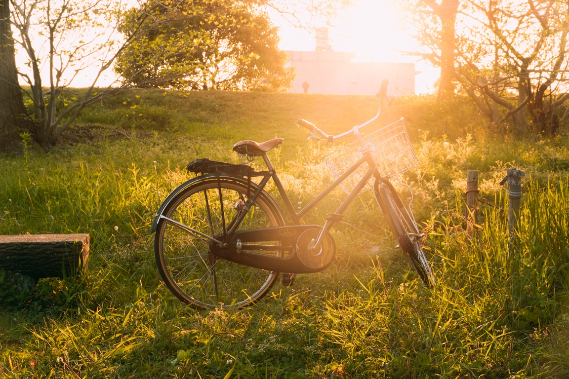 tuan le vang Nhat Ban anh 16