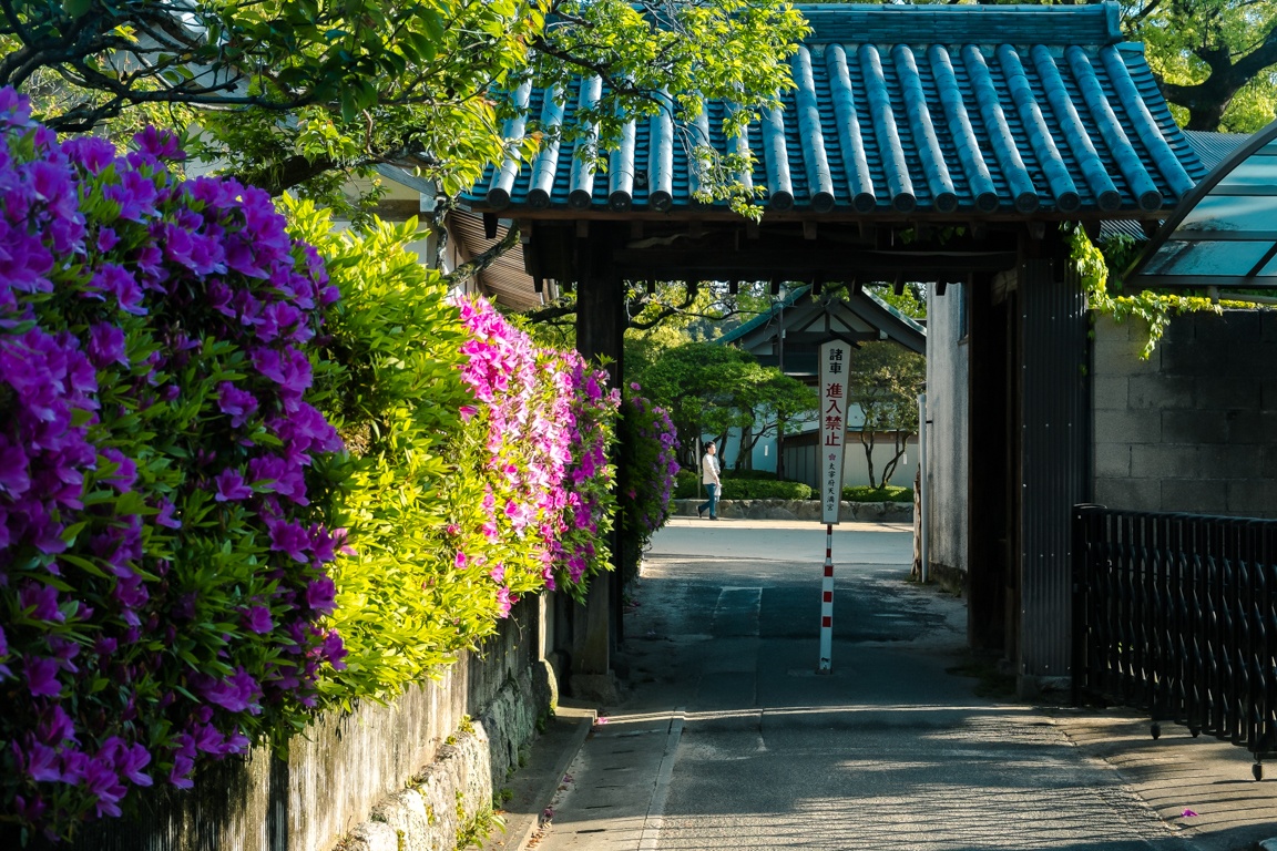 tuan le vang Nhat Ban anh 10