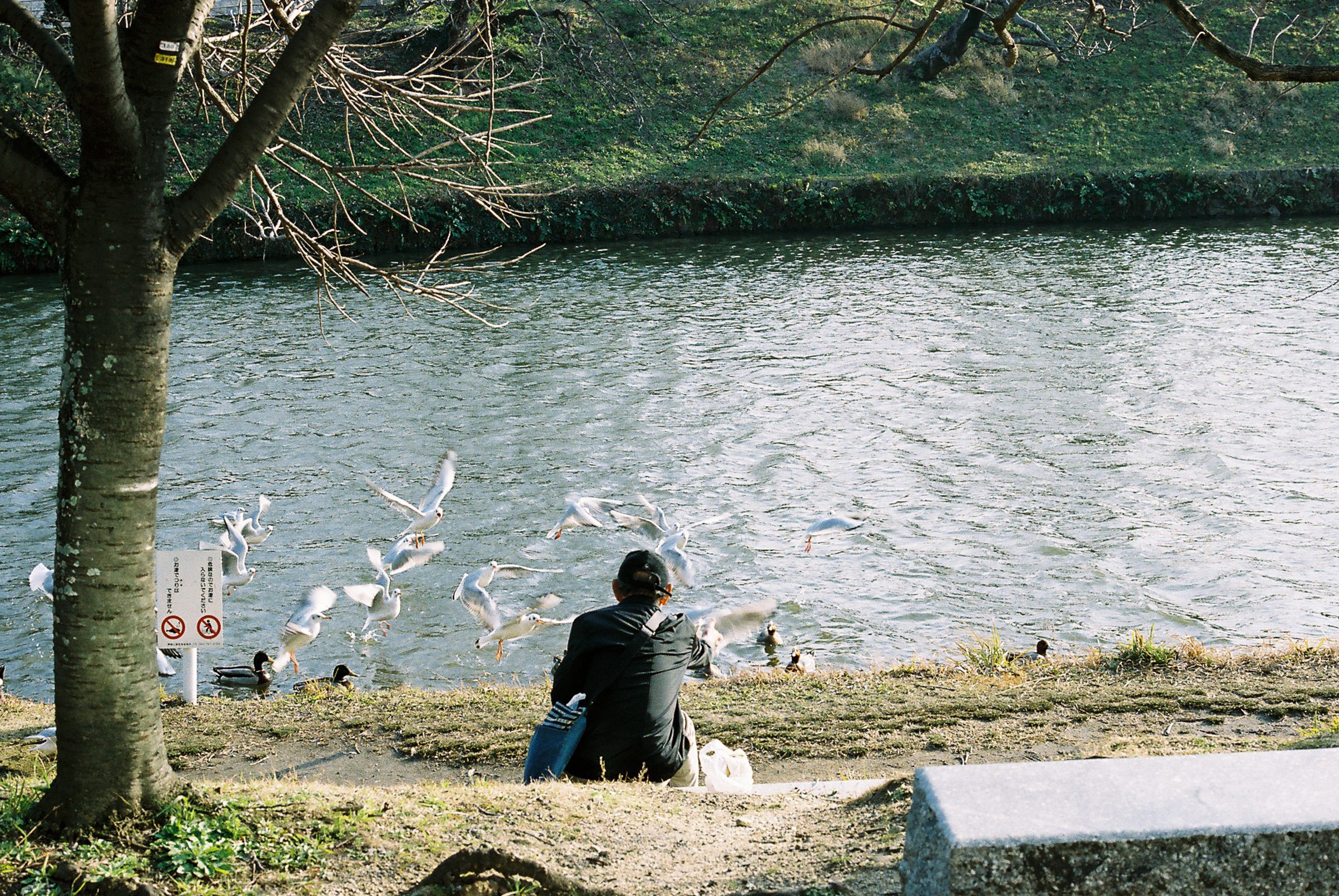 tuan le vang Nhat Ban anh 52