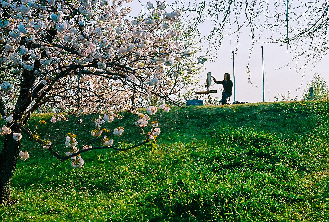 Nhat Ban don tuan le vang trong khong khi binh yen hinh anh