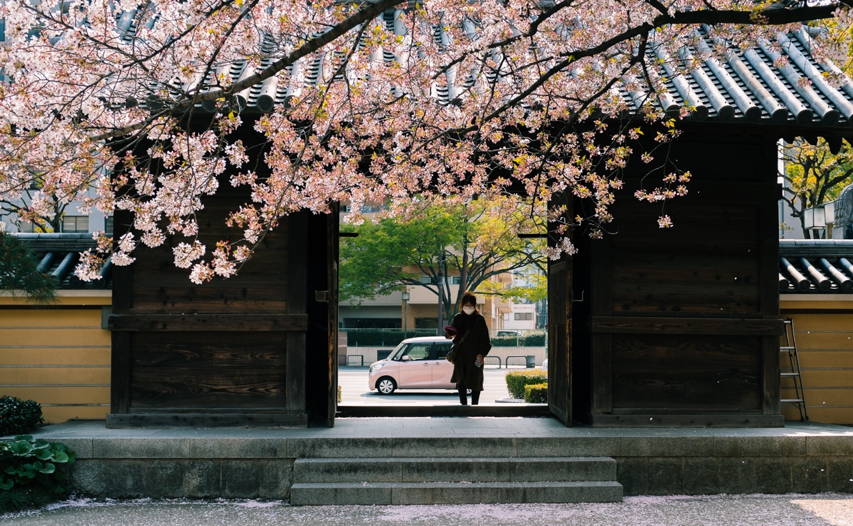 tuan le vang Nhat Ban anh 2