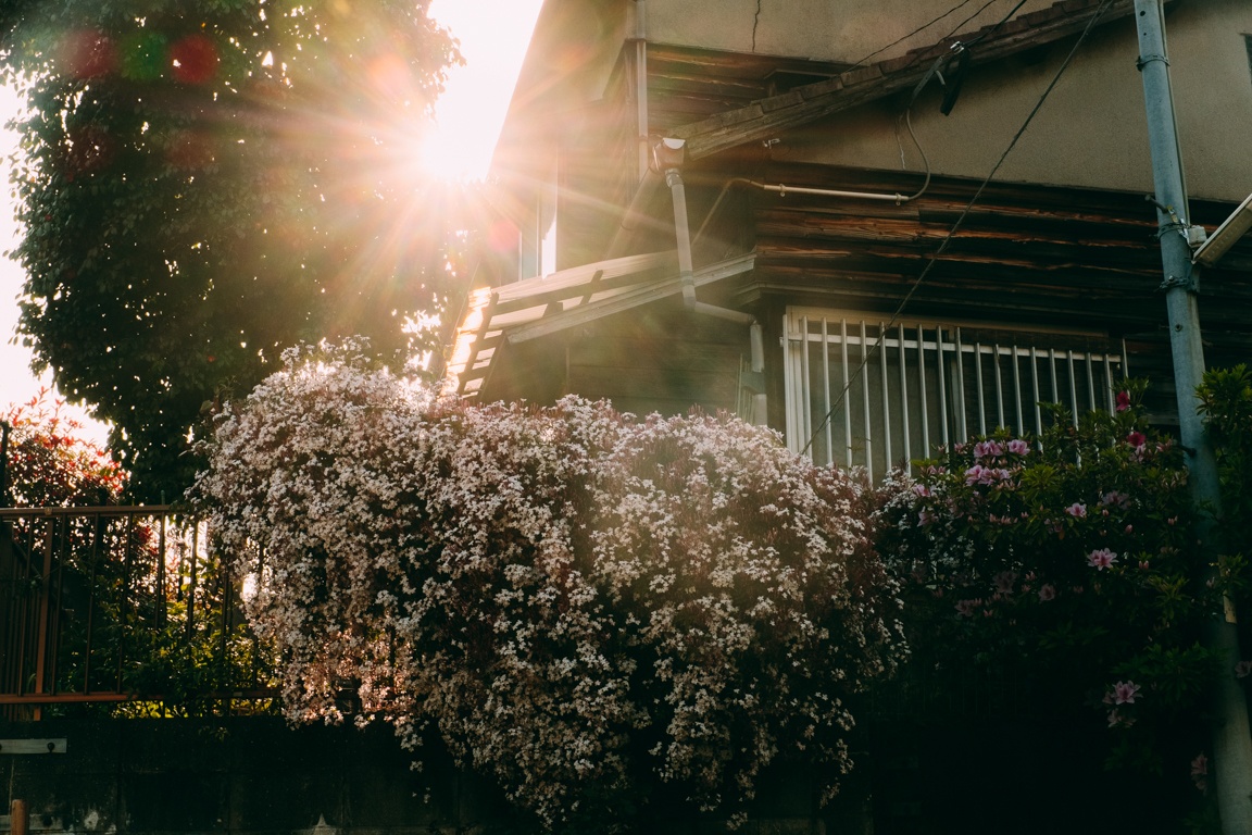 cuoc song Nhat Ban anh 5