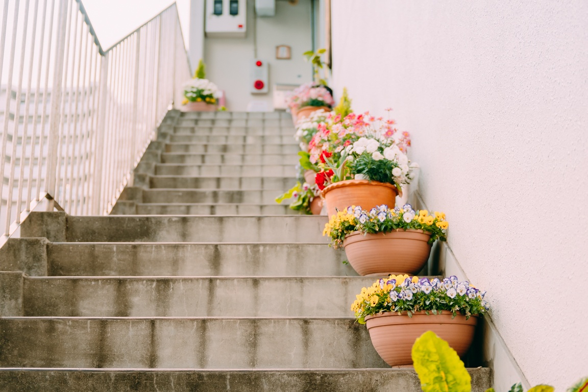 cuoc song Nhat Ban anh 8