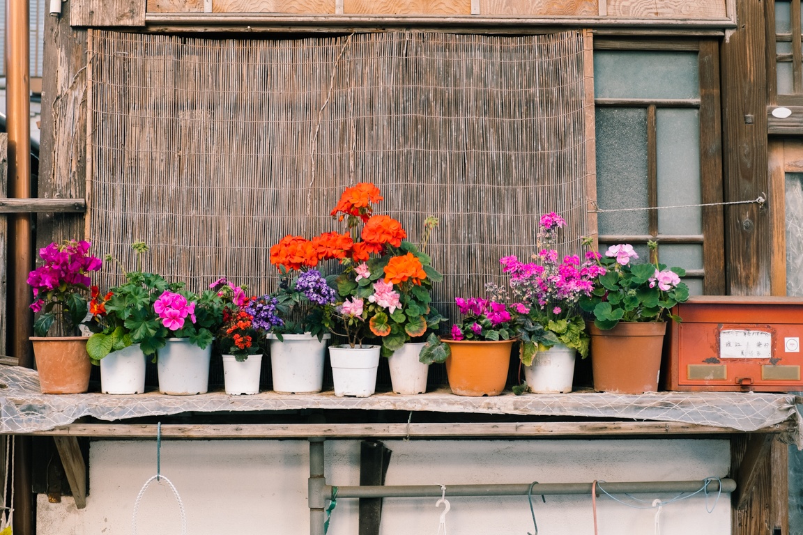 cuoc song Nhat Ban anh 9