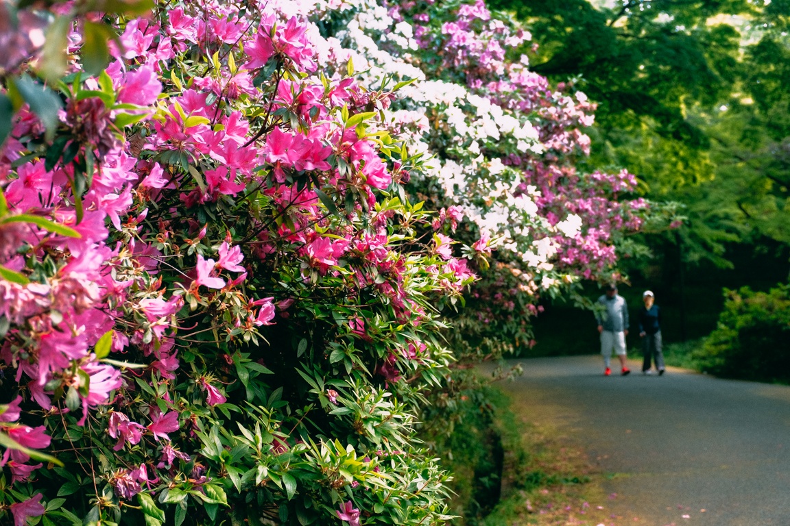 cuoc song Nhat Ban anh 10
