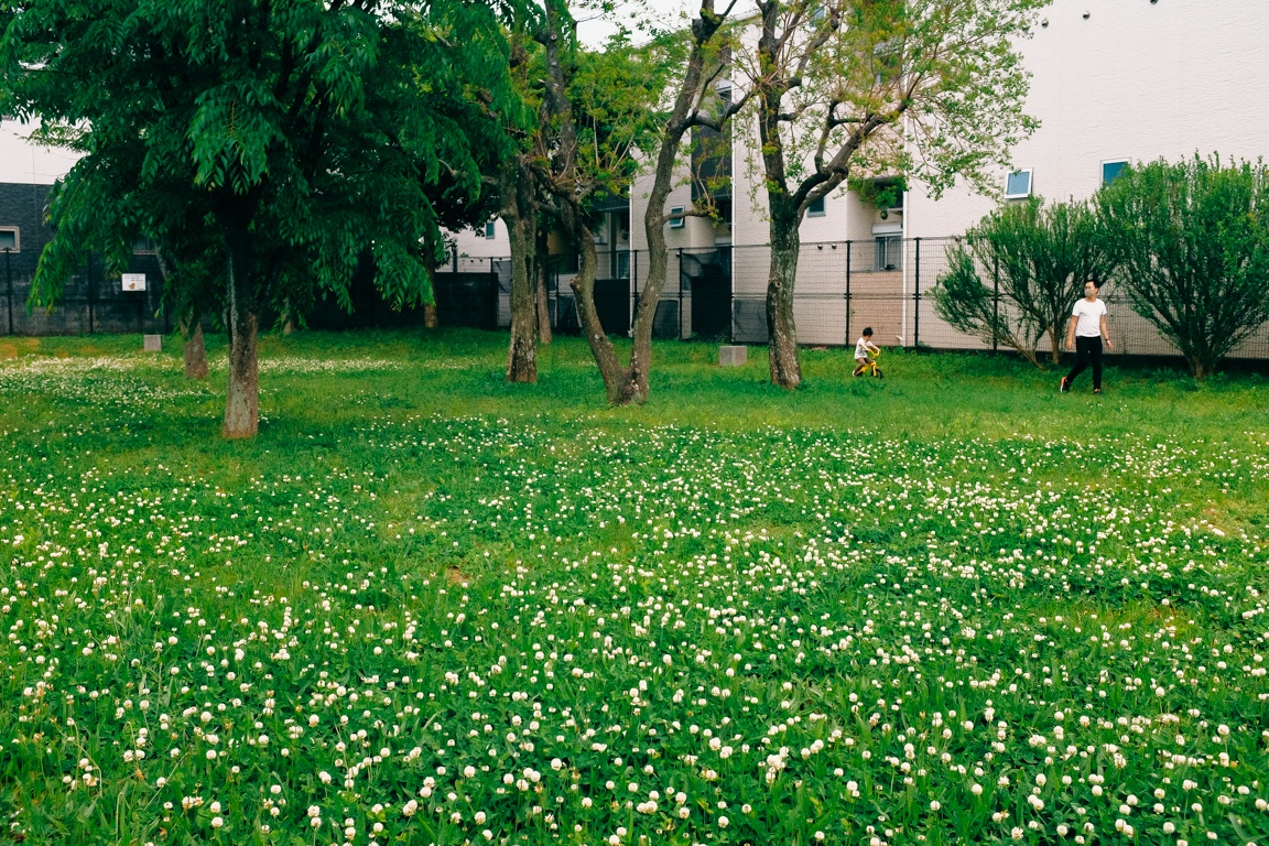 cuoc song Nhat Ban anh 15